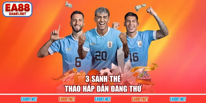 3 sảnh thể thao hấp dẫn đáng thử