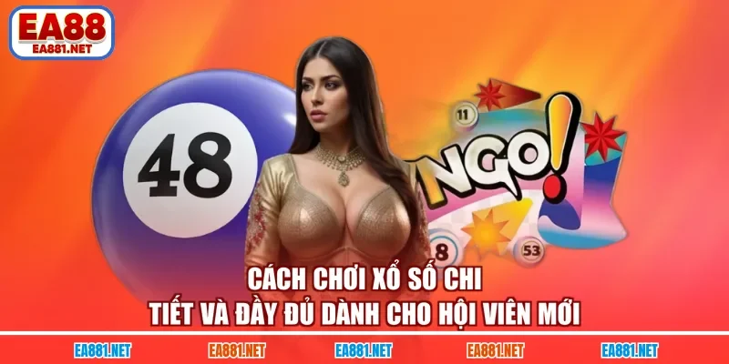 Cách chơi xổ số chi tiết và đầy đủ dành cho hội viên mới
