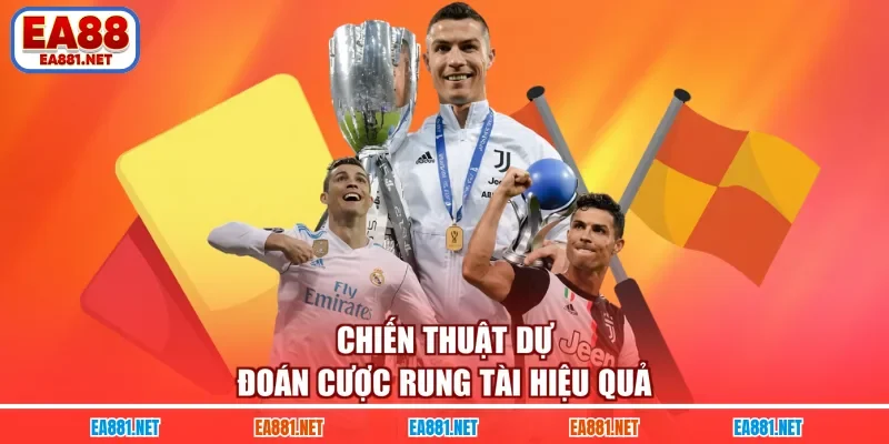 Chiến thuật dự đoán cược rung tài hiệu quả