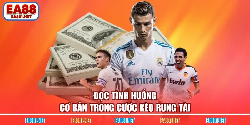 Đọc tình huống cơ bản trong cược kèo rung tài