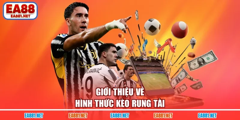 Giới thiệu về hình thức kèo rung tài