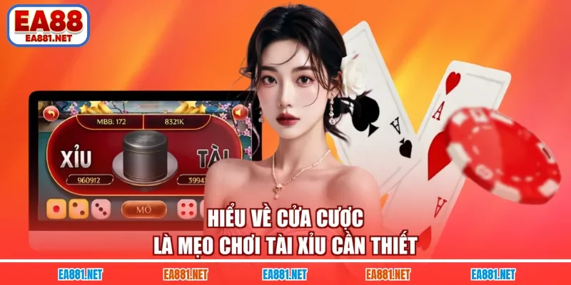 Hiểu về cửa cược là mẹo chơi Tài Xỉu cần thiết