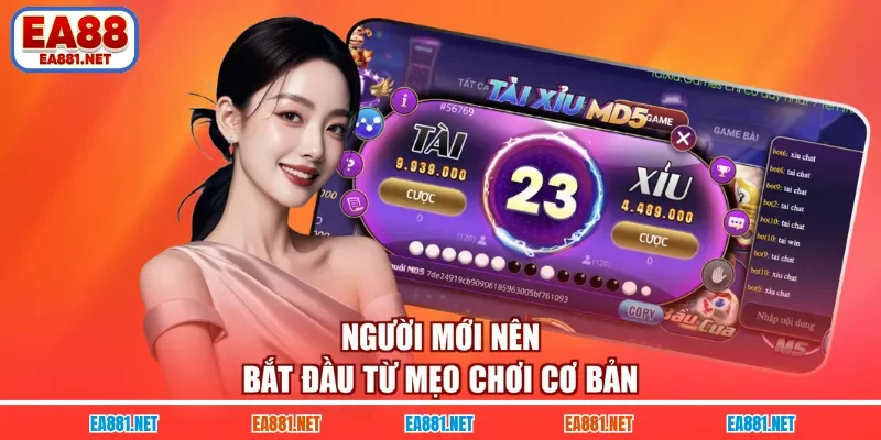 Người mới nên bắt đầu từ mẹo chơi cơ bản
